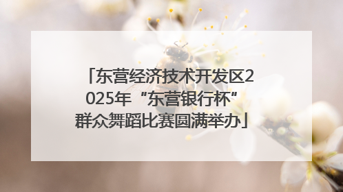 东营经济技术开发区2025年“东营银行杯”群众舞蹈比赛圆满举办