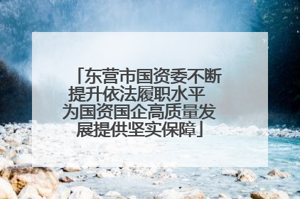 东营市国资委不断提升依法履职水平 为国资国企高质量发展提供坚实保障
