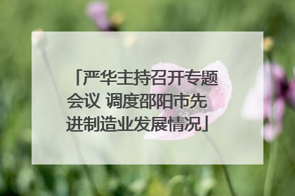 严华主持召开专题会议 调度邵阳市先进制造业发展情况