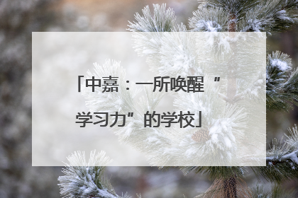 中嘉：一所唤醒“学习力”的学校