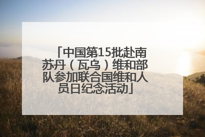 中国第15批赴南苏丹（瓦乌）维和部队参加联合国维和人员日纪念活动