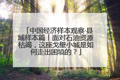 中国经济样本观察·县域样本篇丨面对石油资源枯竭，这座戈壁小城是如何走出困境的？