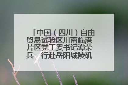 中国（四川）自由贸易试验区川南临港片区党工委书记谭荣兵一行赴岳阳城陵矶综保区考察