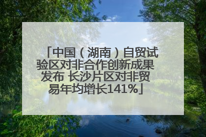 中国（湖南）自贸试验区对非合作创新成果发布 长沙片区对非贸易年均增长141%