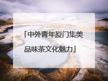中外青年厦门集美品味茶文化魅力