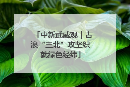 中新武威观｜古浪“三北”攻坚织就绿色经纬