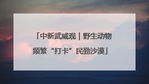 中新武威观｜野生动物频繁“打卡”民勤沙漠