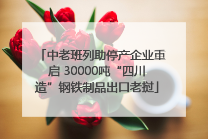 中老班列助停产企业重启 30000吨“四川造”钢铁制品出口老挝