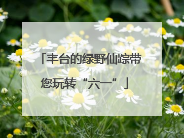 丰台的绿野仙踪带您玩转“六一”