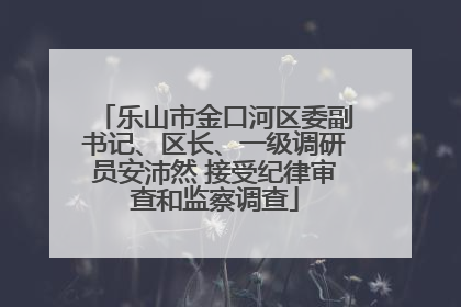 乐山市金口河区委副书记、区长、一级调研员安沛然 接受纪律审查和监察调查