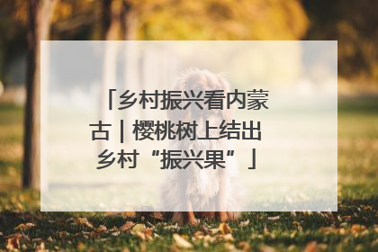 乡村振兴看内蒙古｜樱桃树上结出乡村“振兴果”
