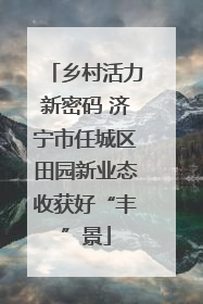 乡村活力新密码 济宁市任城区田园新业态收获好“丰”景