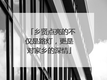 乡贤点亮的不仅是路灯，更是对家乡的深情