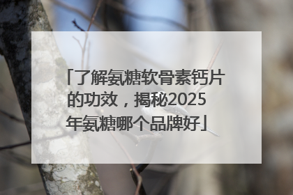 了解氨糖软骨素钙片的功效，揭秘2025年氨糖哪个品牌好