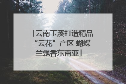 云南玉溪打造精品“云花”产区 蝴蝶兰飘香东南亚