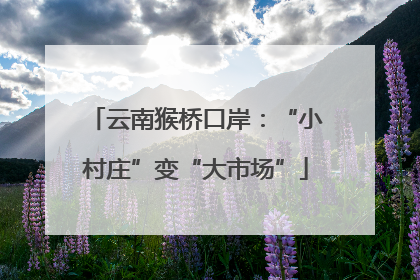 云南猴桥口岸：“小村庄”变“大市场”