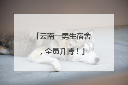 云南一男生宿舍，全员升博！