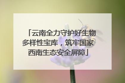 云南全力守护好生物多样性宝库，筑牢国家西南生态安全屏障