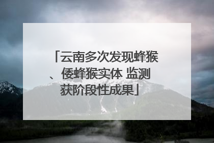 云南多次发现蜂猴、倭蜂猴实体 监测获阶段性成果