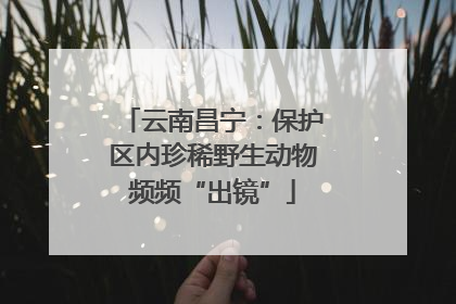 云南昌宁：保护区内珍稀野生动物频频“出镜”