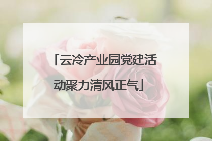 云冷产业园党建活动聚力清风正气