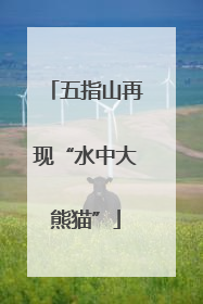 五指山再现“水中大熊猫”
