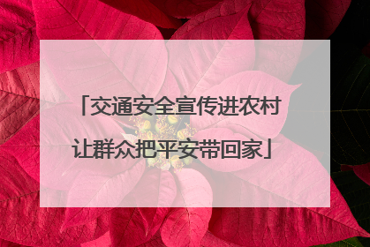 交通安全宣传进农村 让群众把平安带回家