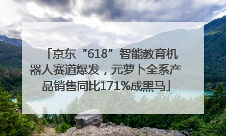 京东“618”智能教育机器人赛道爆发，元萝卜全系产品销售同比171%成黑马