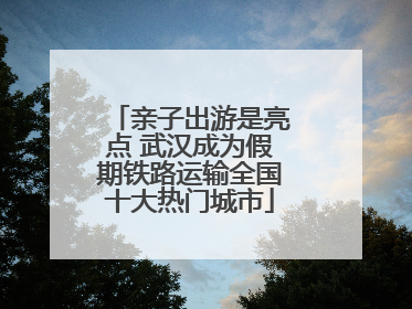 亲子出游是亮点 武汉成为假期铁路运输全国十大热门城市