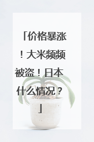 价格暴涨！大米频频被盗！日本什么情况？
