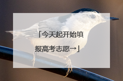 今天起开始填报高考志愿→