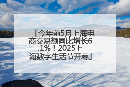 今年前5月上海电商交易额同比增长6.1%！2025上海数字生活节开幕
