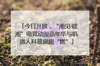 今日开放，“湘见·建湘”电竞动漫嘉年华与机器人科普展超“燃”