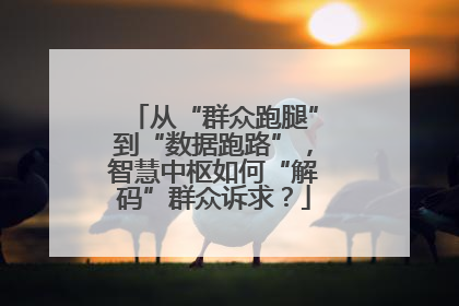 从“群众跑腿”到“数据跑路”，智慧中枢如何“解码”群众诉求？