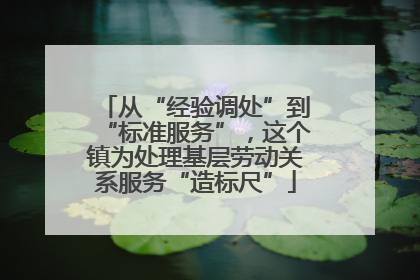 从“经验调处”到“标准服务”，这个镇为处理基层劳动关系服务“造标尺”