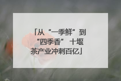 从“一季鲜”到“四季香” 十堰茶产业冲刺百亿