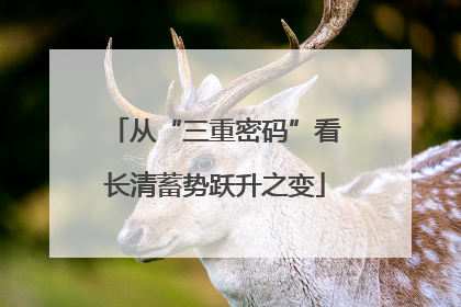 从“三重密码”看长清蓄势跃升之变