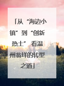 从“海边小镇”到“创新热土” 看温州翁垟的转型之道