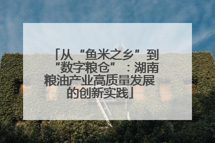从“鱼米之乡”到“数字粮仓”：湖南粮油产业高质量发展的创新实践