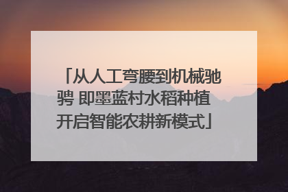 从人工弯腰到机械驰骋 即墨蓝村水稻种植开启智能农耕新模式