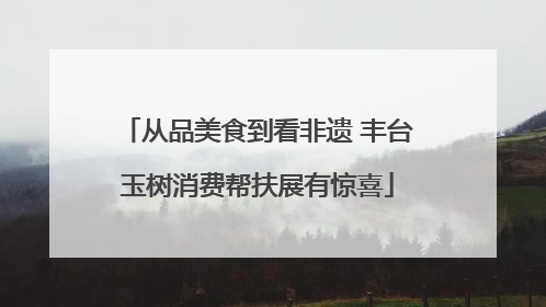 从品美食到看非遗 丰台玉树消费帮扶展有惊喜