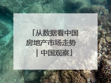 从数据看中国房地产市场走势｜中国观察