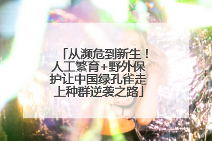 从濒危到新生！人工繁育+野外保护让中国绿孔雀走上种群逆袭之路