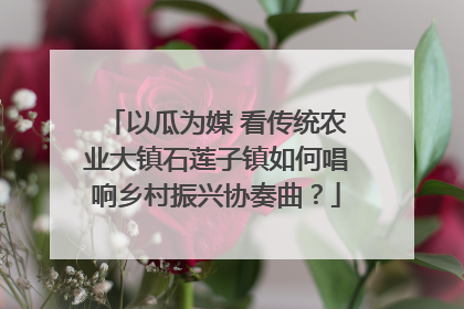 以瓜为媒 看传统农业大镇石莲子镇如何唱响乡村振兴协奏曲？