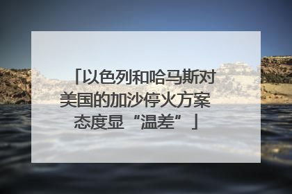 以色列和哈马斯对美国的加沙停火方案态度显“温差”