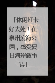 休闲打卡好去处！在泉州滨海公园，感受夏日海岸叙事诗