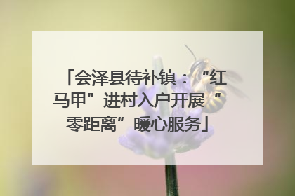 会泽县待补镇：“红马甲”进村入户开展“零距离”暖心服务