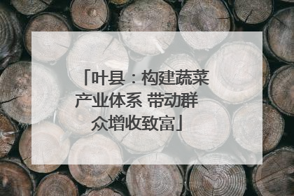 叶县：构建蔬菜产业体系 带动群众增收致富