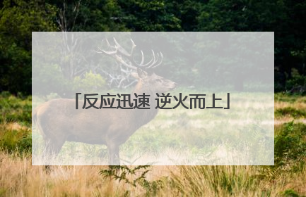 反应迅速 逆火而上