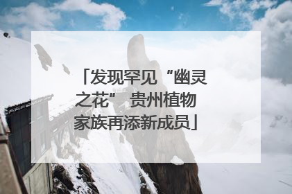 发现罕见“幽灵之花” 贵州植物家族再添新成员